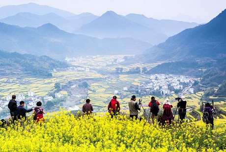 深度经典-景德镇婺源2日游走进婺源，中国醉美的乡村，最后的香格里拉