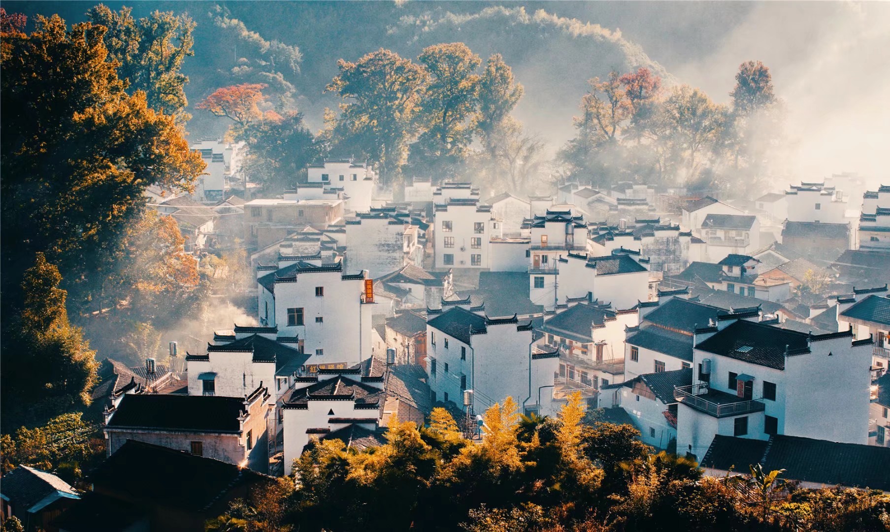 2019思溪延村_旅游攻略_门票_地址_游记点评,婺源旅游景点推荐 - 去哪儿攻略社区