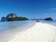 <星光森林>曼芭5晚6日游