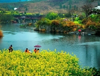 相约江西＜庐山+鄱阳湖+景德镇+婺源＞3日游