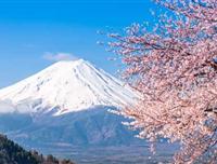 <日本三古都>巡礼亲子7日游