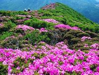 魅力井婺<井冈山+庐山+景德镇+婺源>5日游