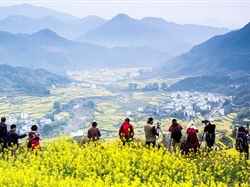 深度经典-景德镇婺源2日游