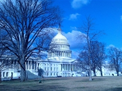 <北美经典重现>美国东西海岸+布法罗精华13日游