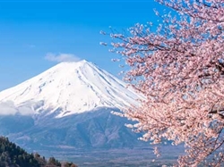 <日本三古都>巡礼亲子7日游