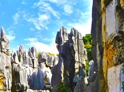 <特价云南>昆明大理丽江双飞6日游