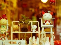 <东山岛之旅>东山岛纯玩三日双动3日游