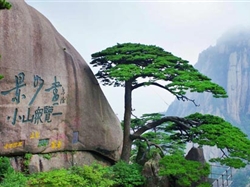 印象徽州<庐山+石钟山+鄱阳湖+景德镇+婺源+黄山>4日游