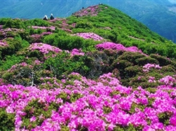 魅力井婺<井冈山+庐山+景德镇+婺源>5日游