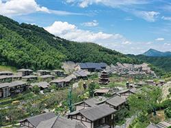 网红打卡-葛仙山+云谷田园纯玩2日游